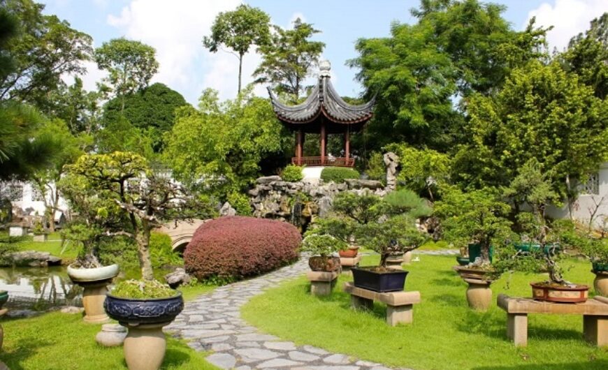 CÂY CẢNH 3 MIỀN “ GÁNH VÁC NỖI LO KINH PHÍ” tiểu cảnh sân vườn chùa Trắng