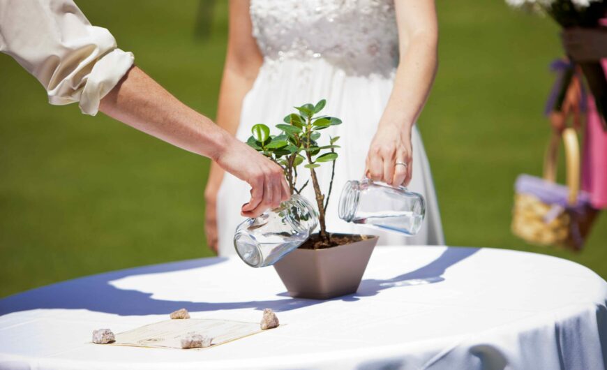 Nghi thức ươm cây trong ngày cưới