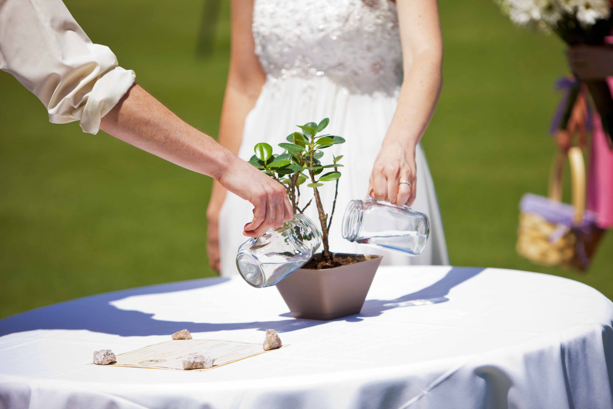 trồng cây ngày cưới