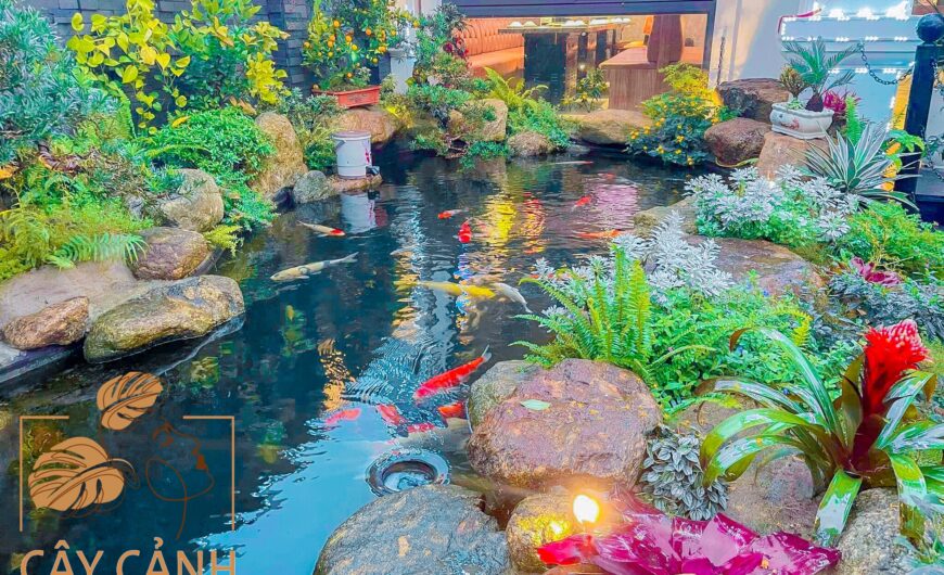 越南海防最有名的锦鲤池设计