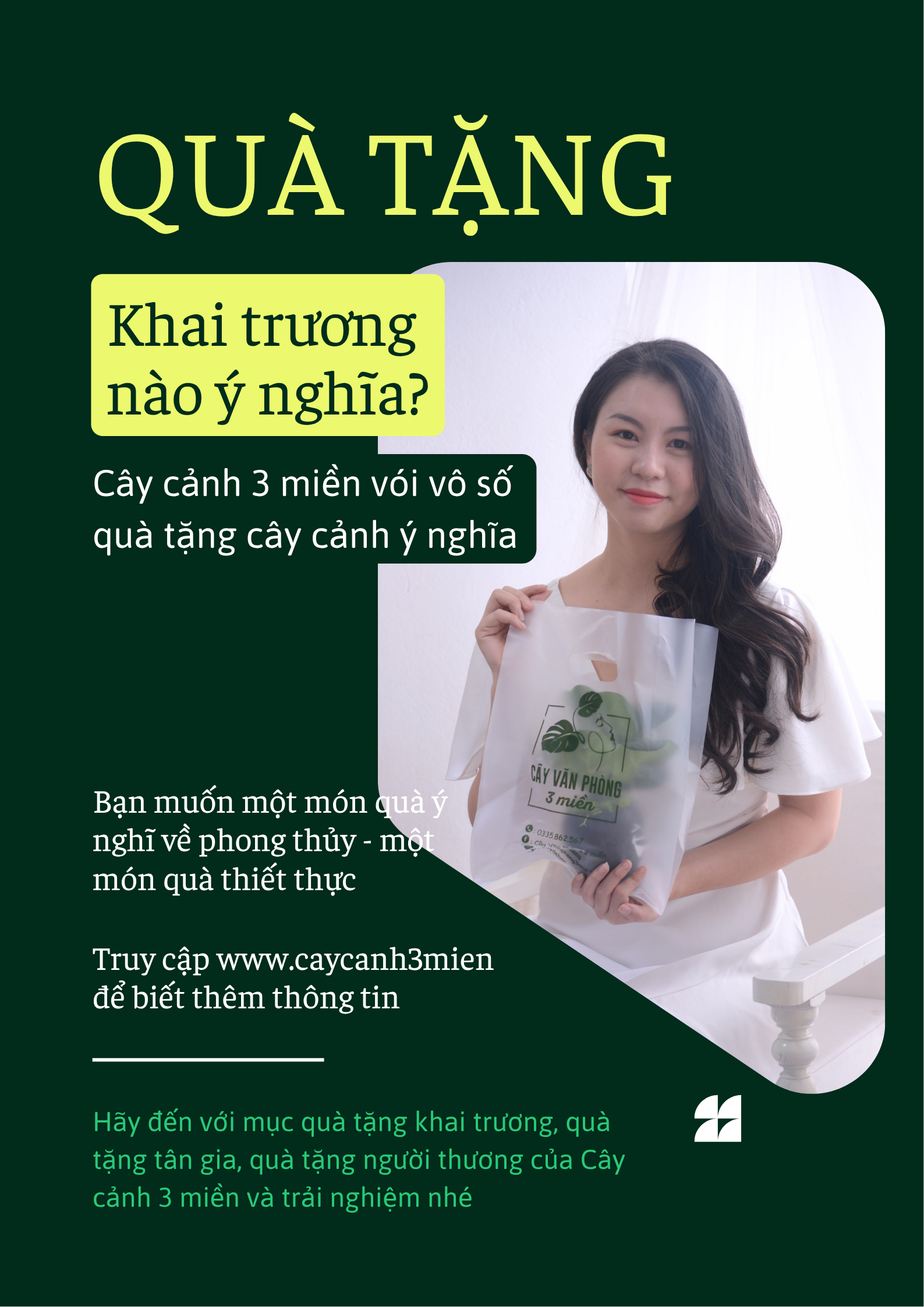 Quà tặng khai trương hải phòng từ cây cảnh ý nghĩa và thiết thực 