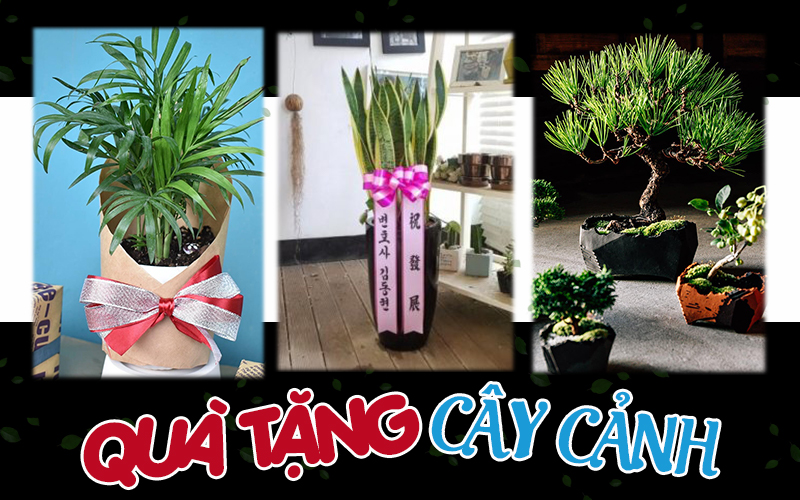 Các mẫu quà tặng khai trưng được yêu thích nhất Hải Phòng